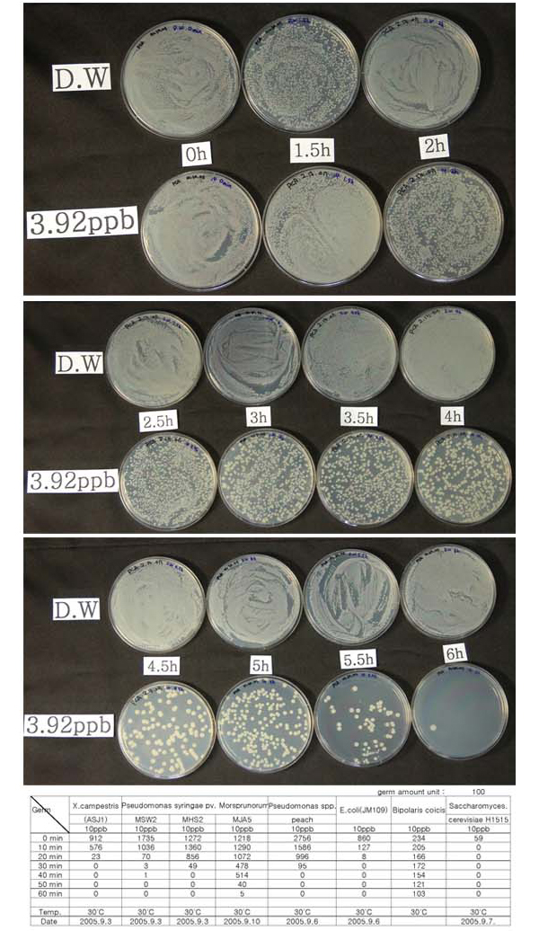 SIS Test Result Image 02